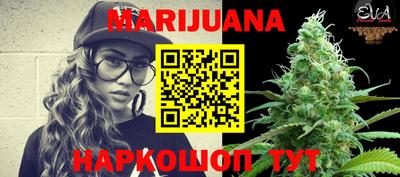 jwh Новозыбков