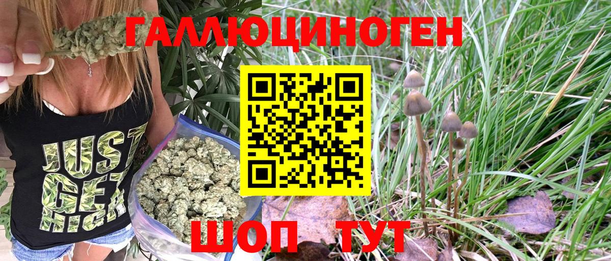 Галлюциногенные грибы Magic Shrooms  Вход с VPN  Галлюциногенные грибы ЛСД  Сочи 