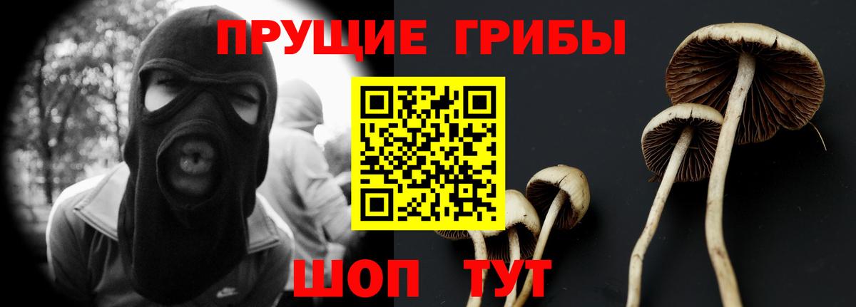 Галлюциногенные грибы GOLDEN TEACHER Сочи